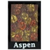 CITY OF ASPEN, CO LEAVES OF AUTUMN CITY PIN CITY OF ASPEN, CO LEAVES OF AUTUMN CITY PIN